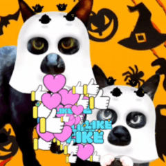 [LINEスタンプ] 動く黒猫ハルとロビン ハロウィン