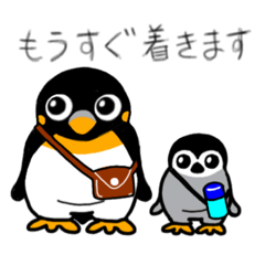 [LINEスタンプ] 仲良くないペンギンのスタンプ