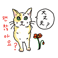 [LINEスタンプ] うちの猫と韓国語2（日本語訳あり）