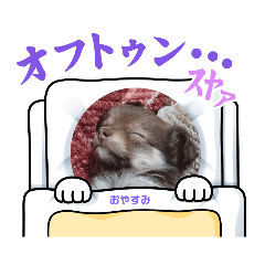 [LINEスタンプ] ポメチワのつぶたん