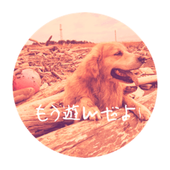 [LINEスタンプ] SWELLスタンプ