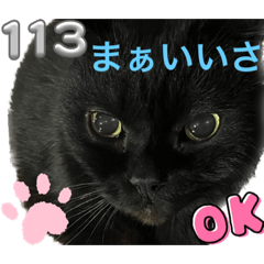 [LINEスタンプ] 黒猫 ルナ院長113にゃんめ