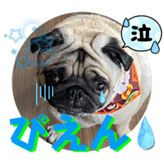 [LINEスタンプ] ワンニャンチュー♪ 6