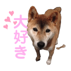 [LINEスタンプ] 萩野そら