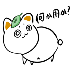 [LINEスタンプ] 毎日使える(？)ちょけまるスタンプの画像（メイン）