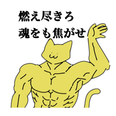 [LINEスタンプ] 筋肉猫祭り 格言(笑)スタンプ