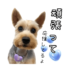 [LINEスタンプ] ビスともなか