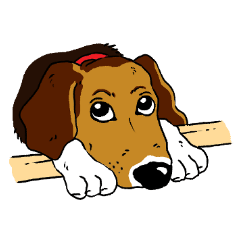 [LINEスタンプ] ラティ・ビーグル犬・スタンプの画像（メイン）
