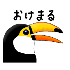 [LINEスタンプ] 野鳥やらのスタンプ