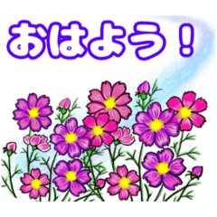 [LINEスタンプ] デカ文字♪秋のお花のスタンプ♪