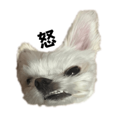 [LINEスタンプ] もあこむ