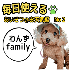[LINEスタンプ] 私の家族のシーズー犬 4