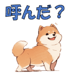 [LINEスタンプ] 柴犬のコタロウ