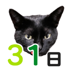 [LINEスタンプ] 黒猫ぐー姫カレンダー（後半）