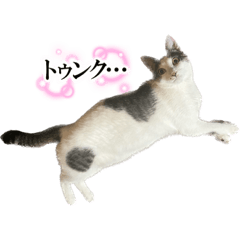 [LINEスタンプ] イズボーイスタンプ