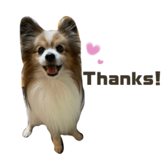 [LINEスタンプ] はまだじんくん