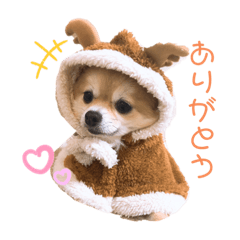 [LINEスタンプ] まろさくくるあずいろゆきふう