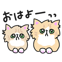 [LINEスタンプ] 子猫のミルメル