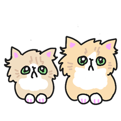 [LINEスタンプ] 子猫のミルメル 文字なしバージョン