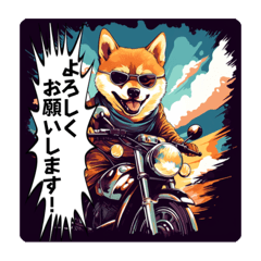 [LINEスタンプ] バイク大好き！しばいぬライダー！