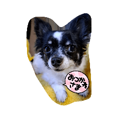 [LINEスタンプ] ユズワン