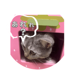 [LINEスタンプ] ルルだなにゃスタンプ