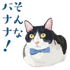 [LINEスタンプ] おもしろ昭和コトバをしゃべる猫 ♪の画像（メイン）