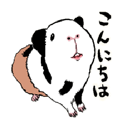 [LINEスタンプ] もるもっとのモルチャンの日常