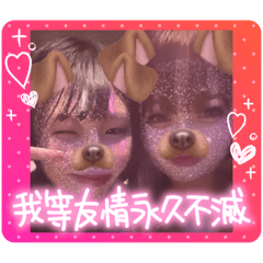 [LINEスタンプ] 我等友情永久不滅にゃんこさんちーむの画像（メイン）