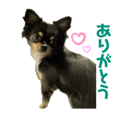 [LINEスタンプ] トロのきもち2