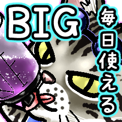 [LINEスタンプ] エジプシャンマウな猫⑪～☆毎日使えるBIGの画像（メイン）