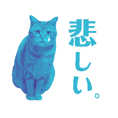 [LINEスタンプ] hakuとrui