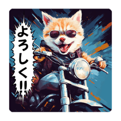 [LINEスタンプ] バイク大好き！ねこライダー！