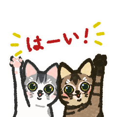 [LINEスタンプ] うごくキジトラサバシロにゃんこスタンプ