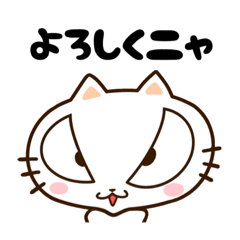 [LINEスタンプ] 日常生活で毎日使えるシンプルでエモかわ猫