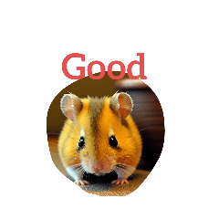 [LINEスタンプ] ハムスター Hamster