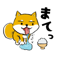 [LINEスタンプ] 柴犬キラ 其の二