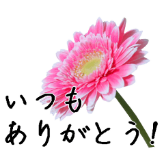 [LINEスタンプ] *花*ありがとう