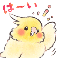 [LINEスタンプ] ふんわりオカメインコちゃん 水彩タッチ