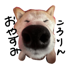 [LINEスタンプ] わんころりん♪