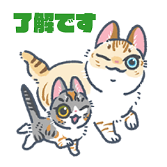 [LINEスタンプ] まるっこねっこスタンプ