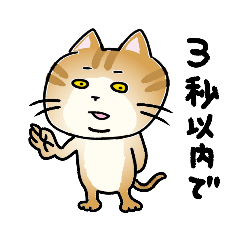 [LINEスタンプ] 猫一色