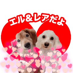 [LINEスタンプ] エル＆レア