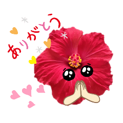 [LINEスタンプ] ハイビスカスのメッセージ✨の画像（メイン）