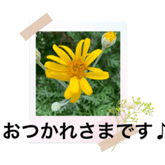 [LINEスタンプ] お疲れ様、ありがとう、ご挨拶