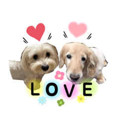 [LINEスタンプ] ♡ルー＆ココ♡