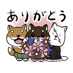 [LINEスタンプ] お寺には柴がいる。