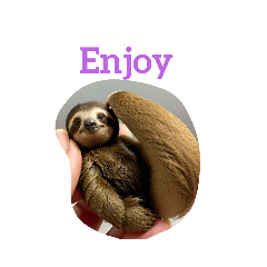 [LINEスタンプ] なまけもの sloth