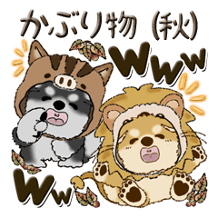 [LINEスタンプ] 柴犬・茶色い犬のちゃちゃ丸『かぶり物』秋