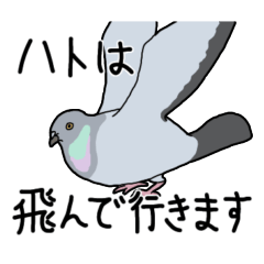 [LINEスタンプ] ほぼハト専用